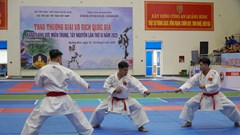 371 võ sĩ ra sức tranh tài