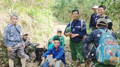 Sau 13 ngày tìm kiếm vẫn chưa thấy người đàn ông mất tích khi đi tìm mật ong