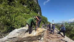Thông tuyến đường sắt Bắc – Nam sau sự cố sạt lở đá núi