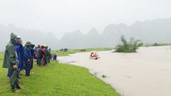 Dắt trâu đi tránh lũ, một học sinh cấp 3 bị nước lũ cuốn mất tích