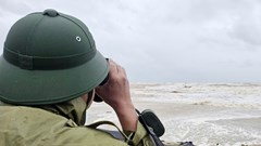 Khen thưởng 3 cá nhân cứu người giữa bão số 10 ở biển Cửa Việt