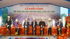 Động lực mới cho kinh tế xanh ở Quảng Trị