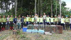 Tái thả nhiều cá thể động vật rừng về môi trường tự nhiên