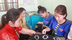 Thanh niên tình nguyện góp sức trẻ vì cộng đồng