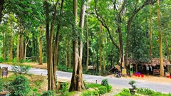 Khám phá vẻ đẹp rừng xăng lẻ nguyên sinh ở miền Tây xứ Nghệ 