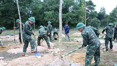 Nghệ An phát động “Tết trồng cây đời đời nhớ ơn Bác Hồ” Xuân Ất Tỵ 2025
