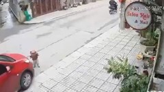  Cơ sở trông giữ trẻ bị tạm đình chỉ hoạt động