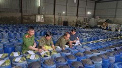 Triệt phá đường dây 3.500 tấn giá đỗ tẩm hóa chất độc hại 