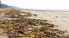 Bờ biển ngập rác, “mất điểm” mùa du lịch