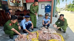 Phát hiện gần nửa tấn chân gà, đuôi lợn tại cơ sở gắn mác “thực phẩm sạch“