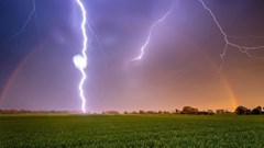 Đang gieo mạ trên đồng, một người đàn ông bị sét đánh tử vong