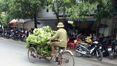 Lao động oằn mình mưu sinh trong “chảo lửa” xứ Nghệ