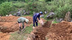 Dịch tả lợn châu Phi tái bùng phát, người dân thiệt hại nặng nề