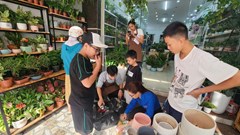 Lan tỏa lối sống đẹp từ “Đổi phế liệu lấy cây xanh”