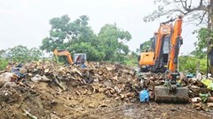 Xử lý bãi tập kết phế phẩm “nghĩa địa” đầu bò ô nhiễm