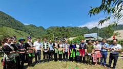 Cây mận tam hoa “đòn bẩy” thoát nghèo ở vùng biên xứ Nghệ