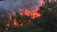 Cháy rừng thông, hàng trăm người nỗ lực dập lửa trong đêm