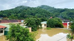 Tựu trường sớm, giáo viên khắc phục lũ đón năm học mới