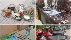 Triệt xóa ổ nhóm dùng hung khí trộm chó và tài sản có tổ chức