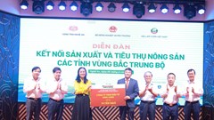 Thúc đẩy kết nối sản xuất và tiêu thụ nông sản vùng Bắc Trung Bộ 