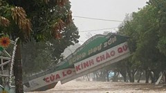 Bão số 5 quét vào Nghệ An, hàng loạt cây xanh gãy đổ, nhiều công trình hư hại