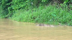 Phát hiện 2 thi thể trôi dạt trong dòng nước lũ 