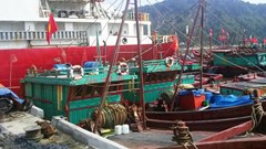 Ứng phó bão Bualoi, Nghệ An cấm tàu thuyền ra khơi từ 5 giờ ngày 27.9 