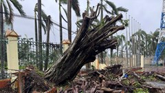 Bão số 10 quần thảo Nghệ An, gây thiệt hại nghiêm trọng 