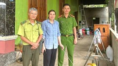 Người dân giao nộp chim hồng hoàng quý hiếm 