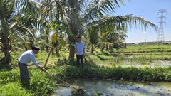 Phát triển kinh tế, thu nhập cao nhờ “đặc sản đồng quê”