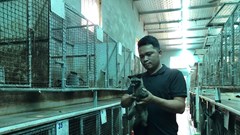 Mô hình nuôi chồn hương mở lối làm giàu cho nông dân xứ Nghệ 