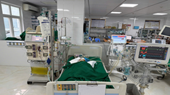 Bé gái 9 tuổi thoát chết sau khi bị ong vò vẽ đốt hơn 50 nốt