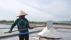 Diêm dân tăng giá trị “hạt ngọc trời” nhờ hướng sản xuất mới