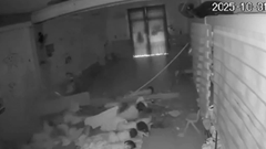 Sập trần lớp học mầm non, bé gái bị thương nhập viện