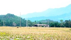 Cầu tiền tỉ xây xong “đắp chiếu”, người dân vẫn phải lội suối