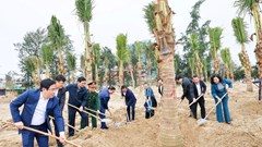 Nghệ An phát động Tết trồng cây Xuân Bính Ngọ 2026 