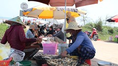 Mùa cá trích nướng tạo “cơn sốt” hút khách ven biển