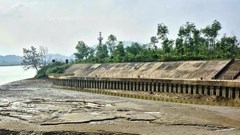 Nhiều trạm bơm thủy lợi thiếu nước vì bùn đất bồi lấp