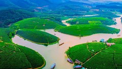 Nghệ An chấm dứt hoạt động dự án du lịch nghỉ dưỡng hơn 1.500 tỉ đồng 