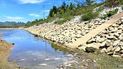 Lấy mẫu nước làm rõ nguyên nhân cá chết tại đập Ba Tru