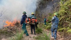Căng mình dập lửa xuyên hai ngày đêm, cơ bản khống chế vụ cháy rừng ở Nghệ An