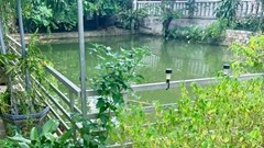 Thương tâm hai chị em ruột đuối nước dưới ao cạnh nhà