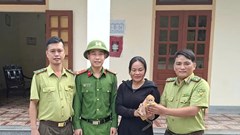 Liên tiếp cứu hộ động vật hoang dã quý hiếm, thả về môi trường tự nhiên
