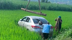 Phát hiện nam tài xế tử vong trong ô tô lao xuống ruộng lúa
