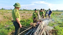 Gỡ “thiên la địa võng”, ngăn chặn nạn săn bắt chim trời