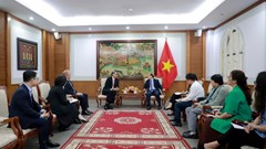 Tăng cường trao đổi kinh nghiệm phát triển giữa Bộ VHTTDL và Hiệp hội Điện ảnh Hoa Kỳ