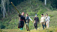  Hành trình chữa lành trên rừng