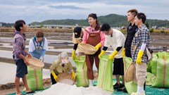 Từ giọt mồ hôi của diêm dân đến ước mơ lớn cho hạt muối Việt