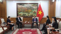 Việt Nam coi bảo vệ bản quyền là “mấu chốt” trong phát triển CNVH