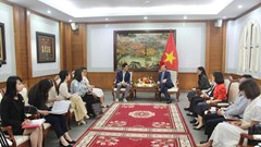 Đẩy mạnh hợp tác với Google trong quảng bá văn hóa Việt Nam ra thế giới